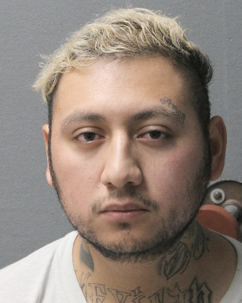 Ray Avila